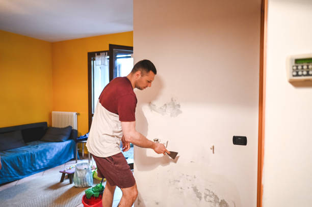 Best Mold Testing and Inspection Services in Wallington, NJ