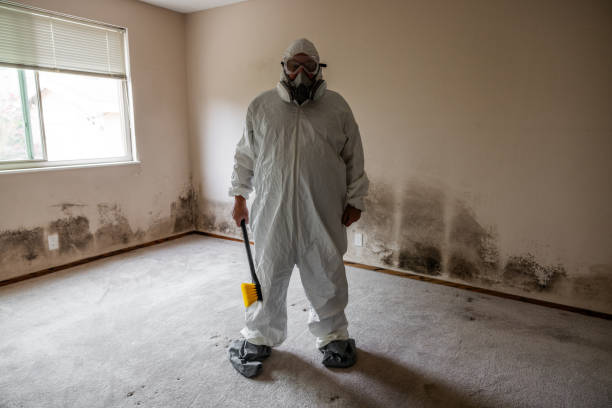 Best Crawl Space Mold Remediation in Wallington, NJ